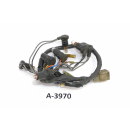 Suzuki GS 1000 1988 - Cable indicator lights instruments...