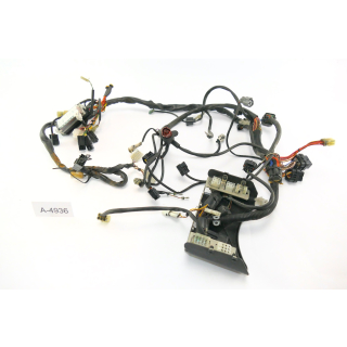 KTM 990 LC8 Super Duke 2005 - Wiring harness A4936