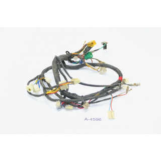 Hyosung RX XRX 125 SM 2007 - Wiring harness A4596