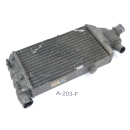 BMW K 1200 RS 589 1997 - right water cooler A203F
