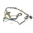 Honda CB 750 Sevenfifty RC42 año 93 mazo de cables...