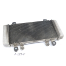 Kawasaki Ninja 300 ABS EX300A 2013 - Radiator A221F