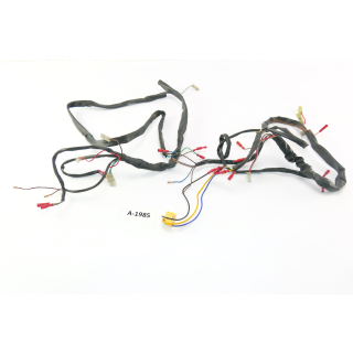Husaberg FS 650 2001 - Wiring harness A1985