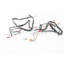 Husaberg FS 650 2001 - Wiring harness A1985