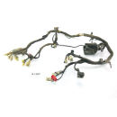 Honda XL 600 V Transalp PD06 year 92 - wiring harness...