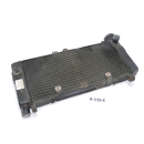 Honda CBF 600 S PC38 2004 - Radiator A115E