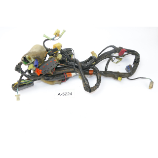 Honda CBF 600 S PC38 2004 - Mazo de cables A5224