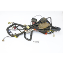 Honda CBF 600 S PC38 2004 - Mazo de cables A5224