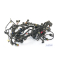 Moto Guzzi Stelvio 1200 8V ABS 2011 - Mazo de cables A274B