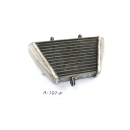 Aprilia RSV 4 R ABS año 2013 - radiador enfriador...
