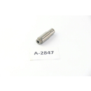 Aprilia RSV 4 R ABS Bj 2013 - Steuerkettenspanner A2847