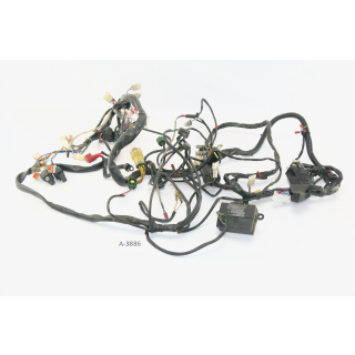 Aprilia RSV 1000 Mille RP year 2001 - wiring harness main wiring harness A3870