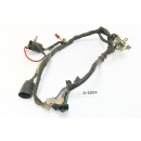 Kymco Stryker 125 AF 2004 - Mazo de cables A3324