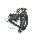 BMW K 1300 R K12S 2010 - Wiring harness engine A4988