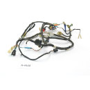 Honda CBR 125 R JC34 2004 - Mazo de cables A4440