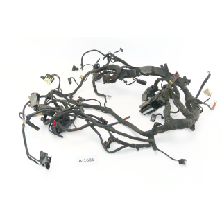 BMW R 1200 GS R12 2005 - Main wiring harness wiring harness A1681
