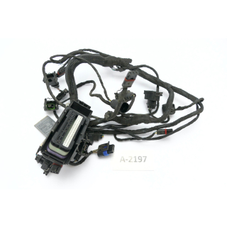 BMW F 800 ST E8ST 2006 - Mazo de cables del motor A2197