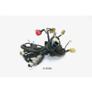 Honda CBR 125 R JC34 2004 - Wiring harness main wiring harness A2258