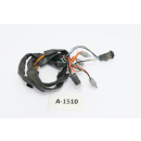 Buell X1 Lightning BL1 1999 - Cable luces intermitentes...