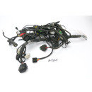 Aprilia RS4 125 2011 - Wiring harness A1365