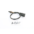 Aprilia RS4 125 2011 - Kabel Kontrolleuchten Instrumente A1365