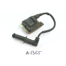 Aprilia RS4 125 2011 - Ignition coil A1365
