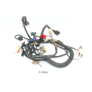 Yamaha YBR 125 RE05 2006 - Wiring harness A2490