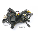 Ducati Monster 600 1994 - Wiring harness A1301