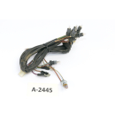 BMW F 650 169 1993 - Cable indicator lights instruments...
