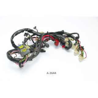 BMW F 650 169 1993 - Wiring harness A2644