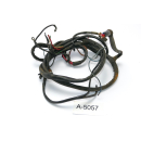 DKW RT 175 VS 1959 - wiring harness A5057