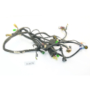 Honda VTR 1000 F SC36 2002 - Mazo de cables A4376