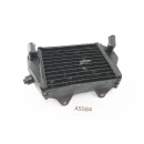 Kawasaki KLR 250 KL 250 D 1989 - Radiateur gauche A5585