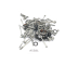 KTM 1290 Super Duke R 2014 - tornillos motor A5581