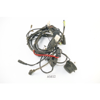 Yamaha Malaguti XT 125 SM 2006 - wiring harness A5612