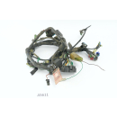 Honda FMX 650 2005 - Wiring harness A5611