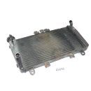 Triumph Speed Triple 1050 515NJ 2007 - Radiator Water...