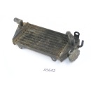 Suzuki TS 250 X SJ11D 1986 - water cooler right A5642