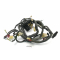 Honda CB 1000 Super Four SC30 - wiring harness A5641
