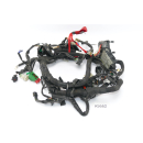 KTM RC 390 2018 - Wiring harness A5663