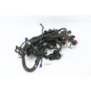 KTM 200 Duke 2013 - Wiring harness A5676