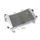 KTM 200 Duke 2013 - Radiateur plié A5658