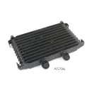 Suzuki GSX 1200 Inazuma 1999 - Oil cooler A5706