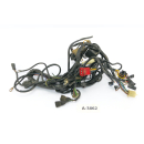 BMW R 80 G/S 247E 1981 - mazo de cables A3862