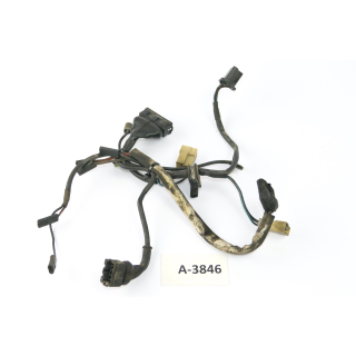 BMW R 80 G/S 247E 1981 - Mazo de cables motor A3862