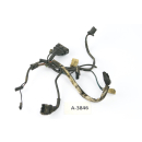 BMW R 80 G/S 247E 1981 - Mazo de cables motor A3862