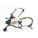 BMW R 80 G/S 247E 1981 - Mazo de cables motor A3862