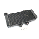 SFM Sachs XTC-S 125 2015 - Enfriador de agua A178F