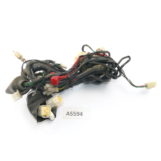 SFM Sachs XTC-S 125 2015 - Mazo de cables A5594