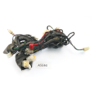 SFM Sachs XTC-S 125 2015 - Mazo de cables A5594